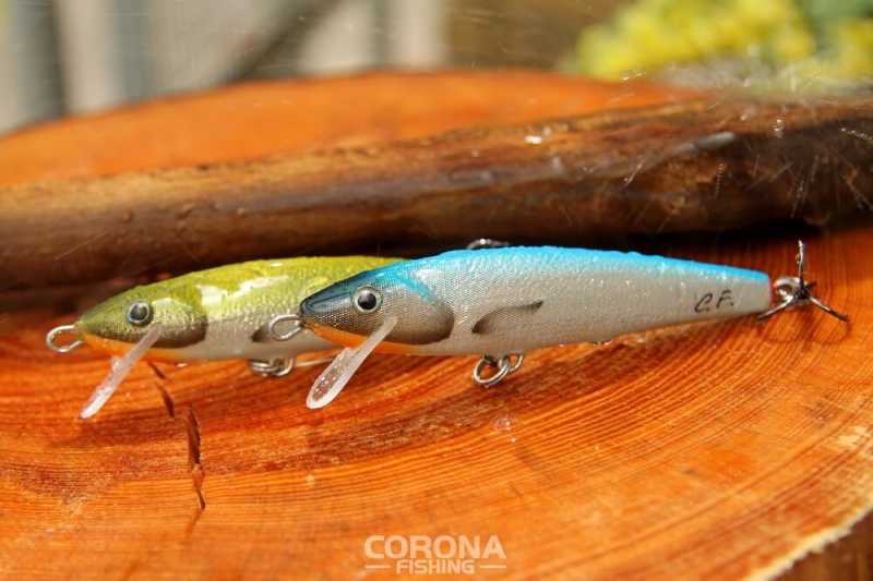 wobler sandacz boleń